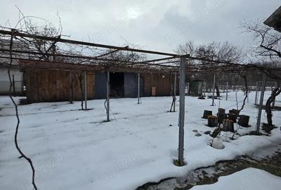 Casă cu 2 camere în Central - 2