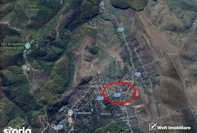 Teren de 920 mp, în Ciurila - 4