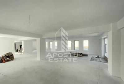 Spatiu comercial 120 mp, zona Lipovei , artera circulata - 2