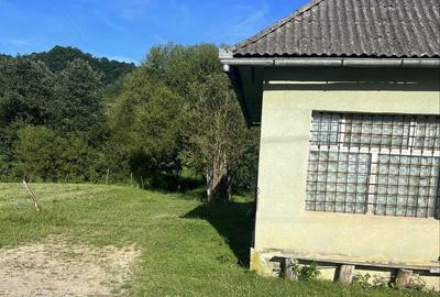 Casă cu 2 camere în Molișet - 4