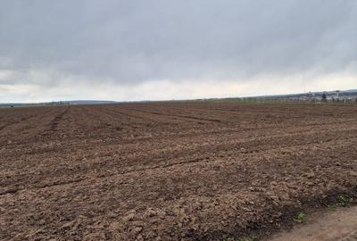 Teren 10,000mp Bacau / Strada Alexandru Safran - 4