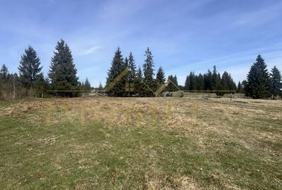 Teren de 5106 mp, în Mărișel - 4