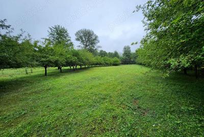 Evadare intr-un Paradis Privat: Proprietate Unica in Valenii de Munte - 14