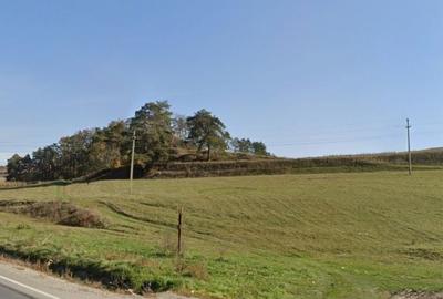 Teren de 7800 mp, în Saschiz - 1