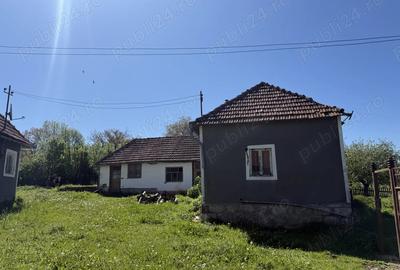 Vind casa in Tomnatic - 4