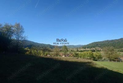 Teren de 56031 mp, în Criș - 8