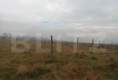 Teren Intravilan, 600 mp in zona Peugeot - 4