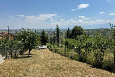 Casa cu 3 camere si teren | 111mp utili 450mp teren | Daia Noua | EXCLUSIVITATE - 6