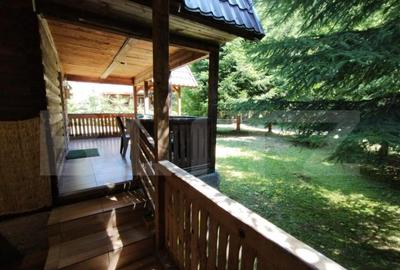 Cabana 4 camere Lunca Bradului - 2