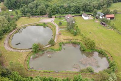 Proprietate specială, de 390 mp, în Valea Dobârlăului - 3