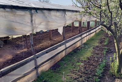 Casă cu 4 camere în Pietrele - 11