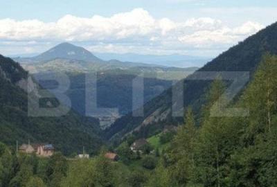 Teren de 13570 mp, în Peștera - 3