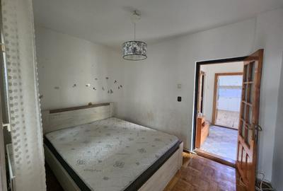 Casă individuală cu 4 camere cu Canalizare în Podul de Fier - 3