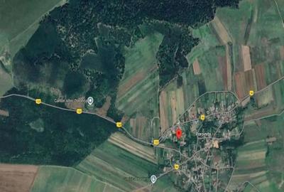 Casă cu 3 camere cu Teren 1853 Mp în Rogova - 2