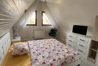 Casă cu 1 camere cu Teren 2859 Mp în Siliștea Snagovului - 8