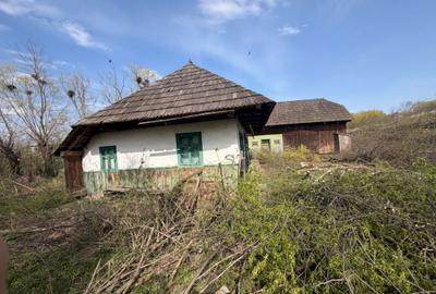 Casă cu 4 camere în Arbore - 1