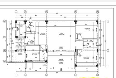 Casă cu 3 camere cu Teren 360 Mp în Roșu - 2