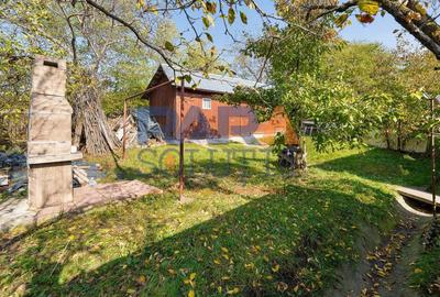 Casu?a frumoasa la ?ara cu toate condi?iile necesare - 5