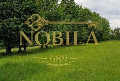 Teren de 5000 mp, în Cerdac - 5