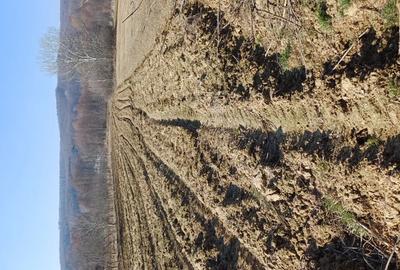 Teren agricol sat.Voroveni - 4