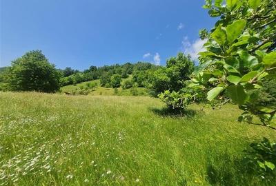 View superb:intravilan,constructie rezidenta/hotel, 2.327 mp,Moieciu de Jos, Bra - 37