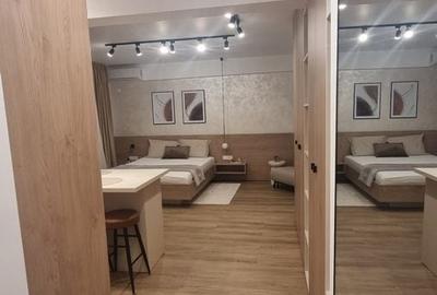 Garsonieră decomandată, mobilată în Cișmigiu - 2