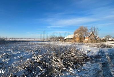 Teren de 6000 mp, în Petrești - 5
