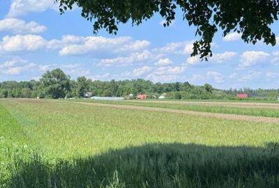 Spațiu comercial, în Costișa
