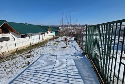 Teren de 6700 mp, în Broscăuți - 3