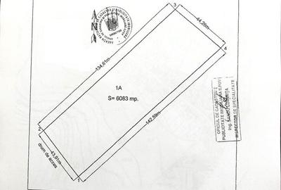 Teren Construcții intravilan de 6083 mp, în Snagov - 3