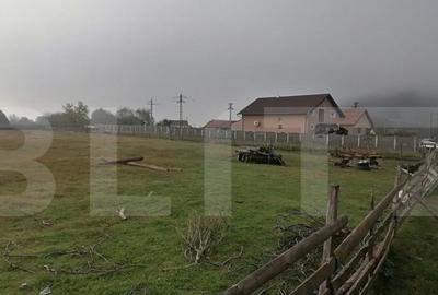 Teren intravilan 3300 mp apa, curent, posibilitate parcelare - 5