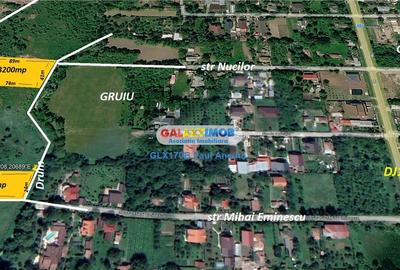 Teren Construcții intravilan de 2010 mp, în Gruiu - 3