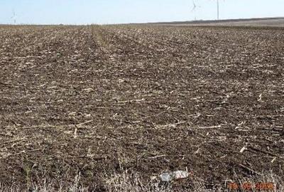 Teren extravilna Cota parte 1/16, CObadin, ID: R2782865 - 5