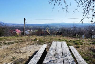 Teren de 2421 mp, în Mireșu Mare - 4