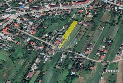 Snagov- Teren Intravilan de Vanzare - 6