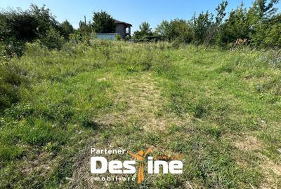 Teren Intravilan - Hlincea (Ciurea) 1000Mp - 5