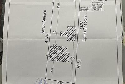 Spațiu comercial, în Valu lui Traian - 2
