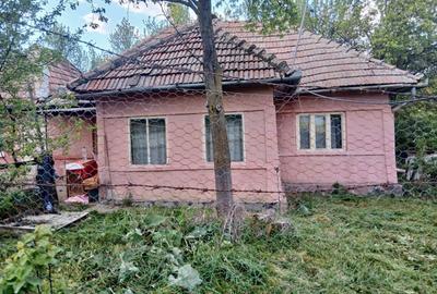 Casă cu 3 camere în Roșieni - 3