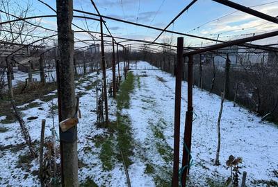 Casa cu teren de vanzare - 8