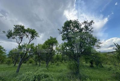 Teren de 5305 mp, în Central - 2