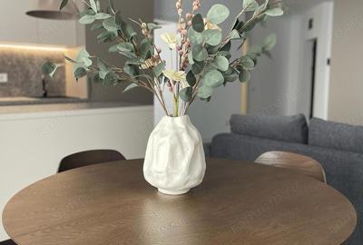 Apartament cu 2 camere semidecomandat în Take Ionescu