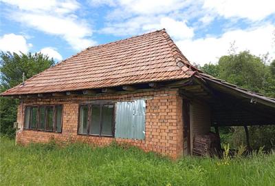 Borlovenii Noi, Teren Drept, 16000mp, la Limita Localitatii - 6