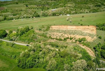 Teren extravilan in vecinatatea Manastirii Feredeu - 3