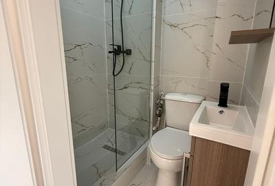 Apartament cu 4 camere decomandat în Dristor - 19