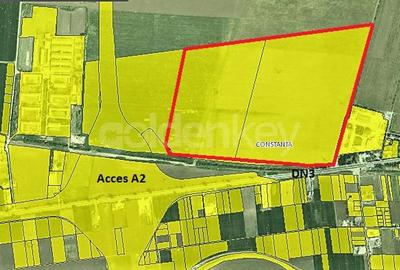 Oportunitate investitie - 2