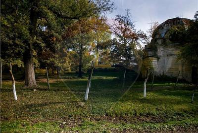 Domeniu Baronial de vanzare in localitatea CIL , Judet Arad - 8