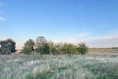 Teren Construcții intravilan de 1508 mp, în Ianova - 2