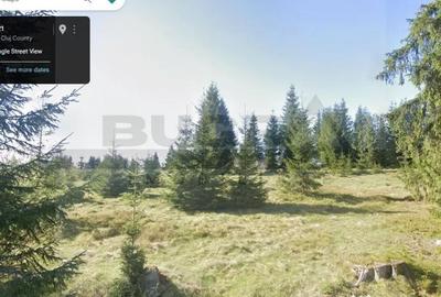 Teren de 1400 mp, în Bălcești (Beliș) - 4