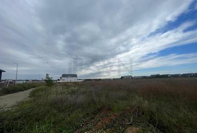 Teren de Otopeni Lidl Teren de Otopeni Lidl - 5