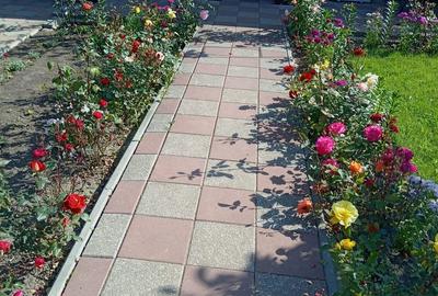 Casă cu Teren 800 Mp în Central - 9